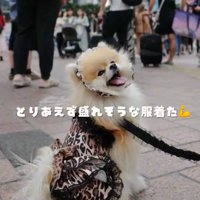 現在のレオちゃん