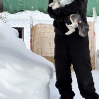 抱っこされる犬