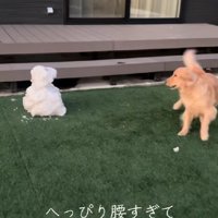 「知らないからな！！」