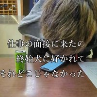 面接に来た若者に…