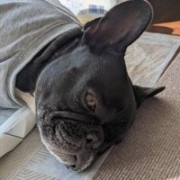 目を開けたジーナちゃん