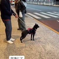 まさかのスルー！