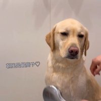 気持ち良さそう♪