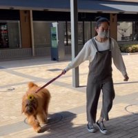 おでかけをしていたら…