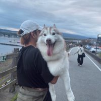 抱っこされて笑顔の犬