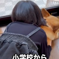ジノくんに覆いかぶさるお姉ちゃん