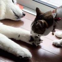 また「食べ」ちゃった