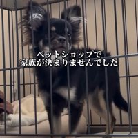 家族がなかなか決まらなかった