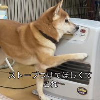 「ストーブついてないよ」