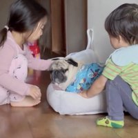 優しくナデナデ