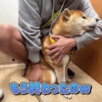 注射は終わったのに…