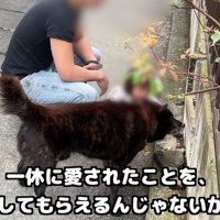 一休さんの愛を感じます