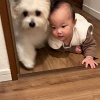 やってきた小太郎くん