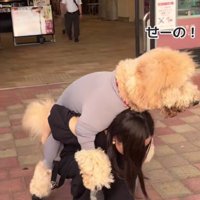 「せーの！！」