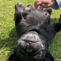 のびのびリラックス