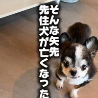 ダニエルくんとの数ヶ月間5