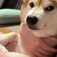 「もう怒ってないかな？」