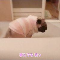 くるりと回って大喜び♪