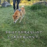 朝は大丈夫だったそう