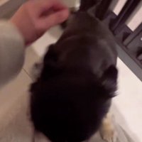 健気で心温まるひととき