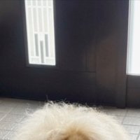 暑い