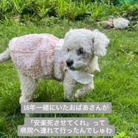 安楽死を望まれていたところ…