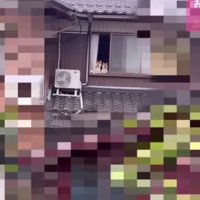 自宅の窓を見てみると…