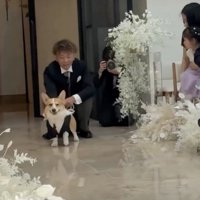 リードを外してもらい…