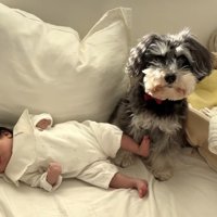 次女ちゃんとジジちゃん