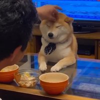 仲睦まじいふたり