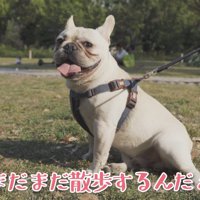座り込んで拒否！