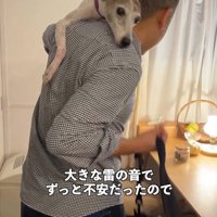 雷が鳴った時のきびちゃん6
