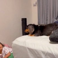 ふたり