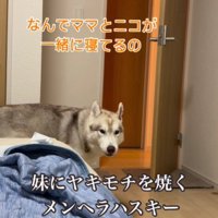 部屋に突入してきたモニカちゃん