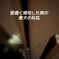 ドアを開ける飼い主さん