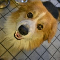 笑顔