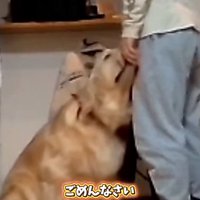 パパにすりすりするこむぎ君
