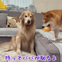 自慢げなうにくんにクスッ