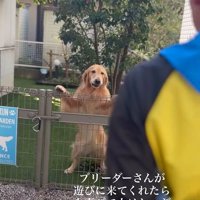 そら君とブリーダーさんの再会