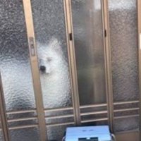 まっちょくんがいる！！