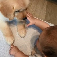 仲良しなふたり