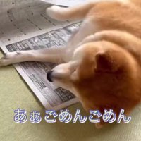 「ごめんごめん」