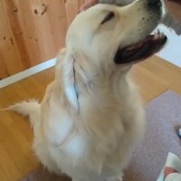 すっかり仲良し♡