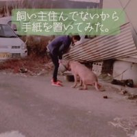 飼い主は敷地内にいない…