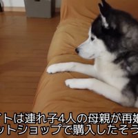 エイトちゃんとの出会い