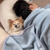 爆睡中の旦那さんと寄り添うアモちゃん2