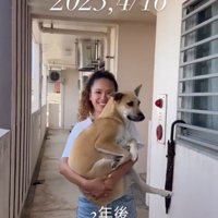 Jayくんのビフォーアフター6