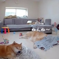 ポンポンと寝かしつけ