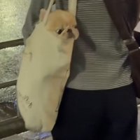 顔がひょっこり♡