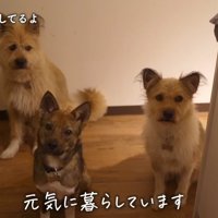 これからも幸せにね